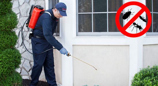 Şefaatli Hamam Böceği İlaçlama böcek ilaçlama ve haşere kontrolü — ilaclama-tr.com